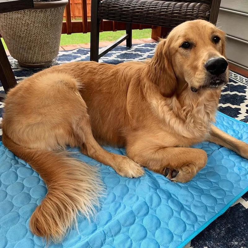 🌟 Cooling Summer Pet Mat (🔥 Sale 50% Off)