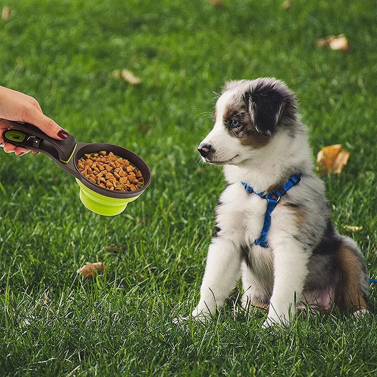 3 In 1 Pet Food Scoop