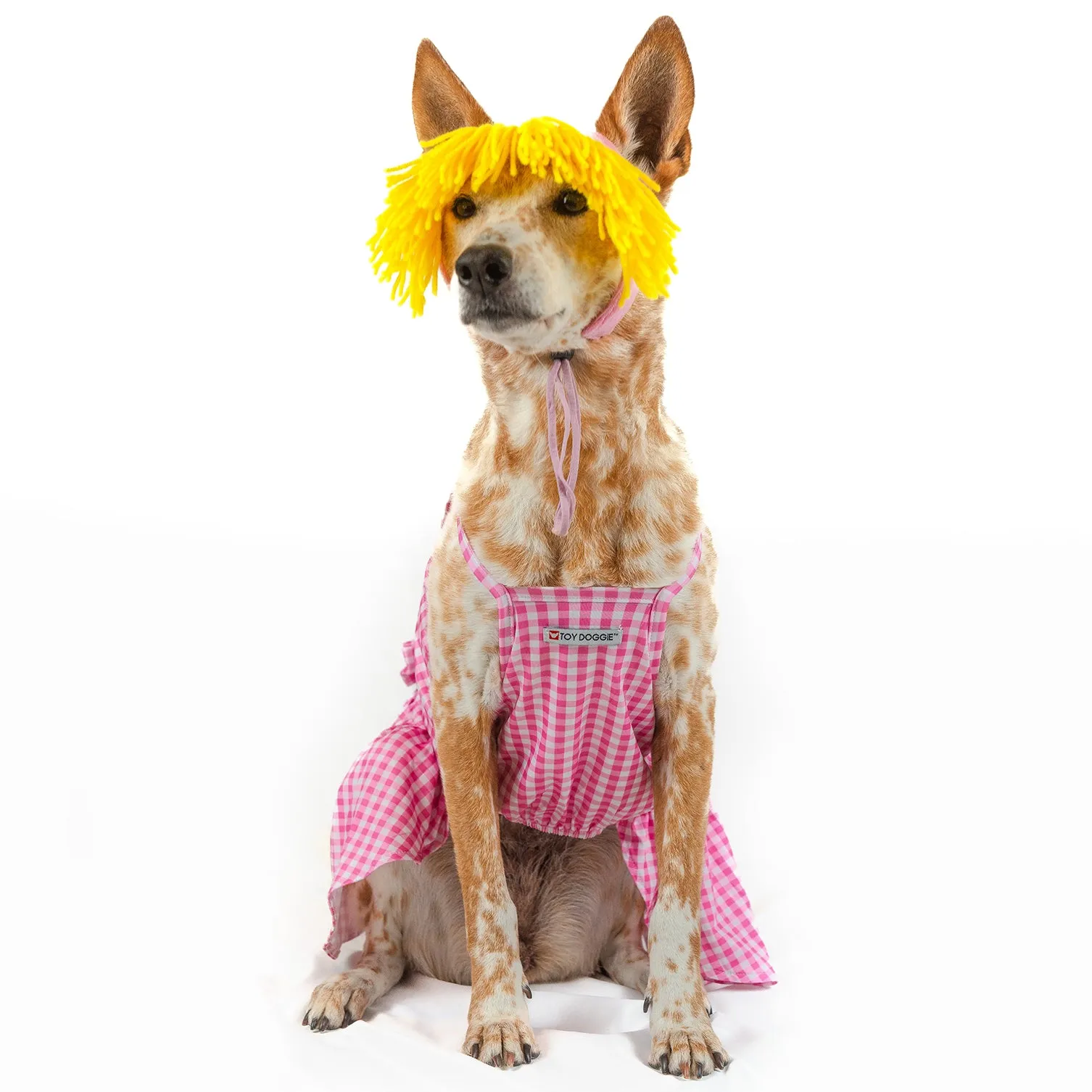 Barkie | Halloween Pet Costume