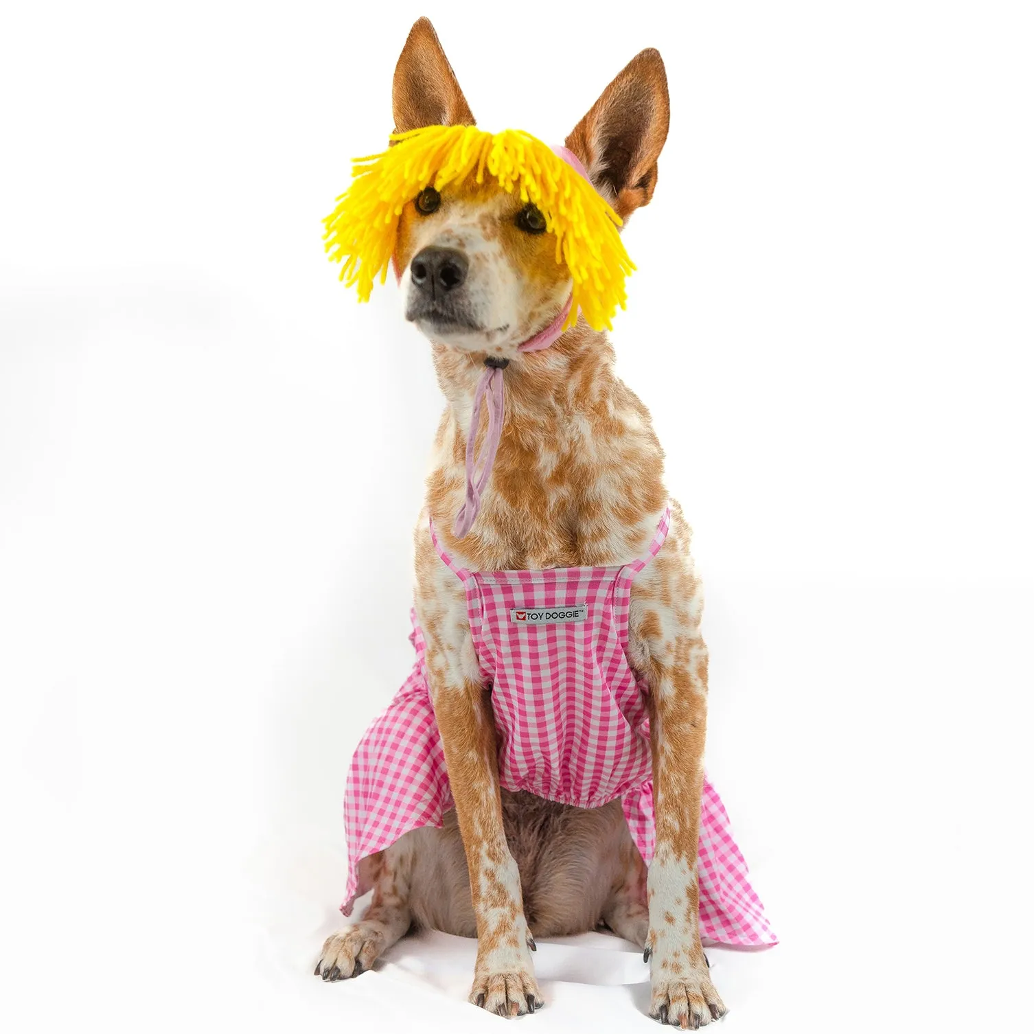 Barkie | Halloween Pet Costume