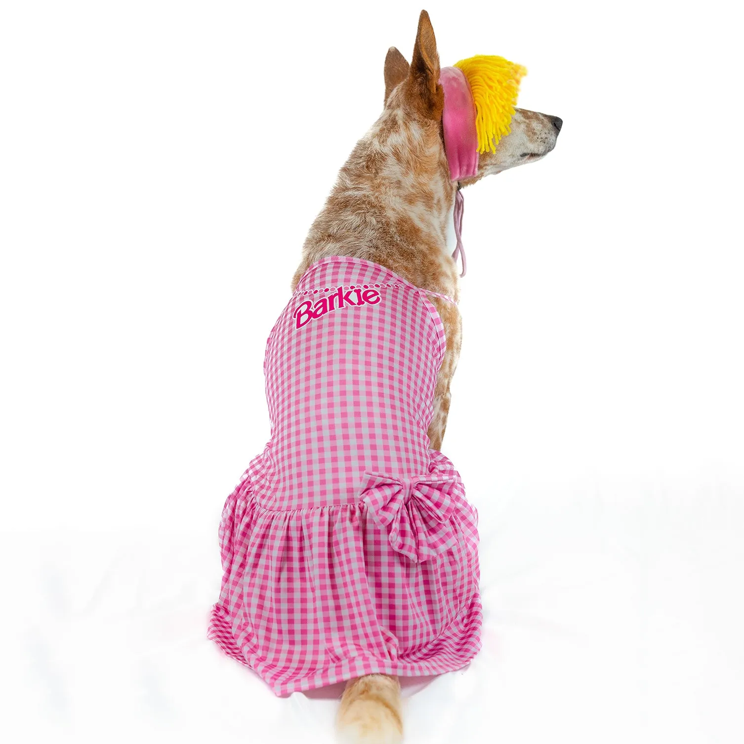 Barkie | Halloween Pet Costume