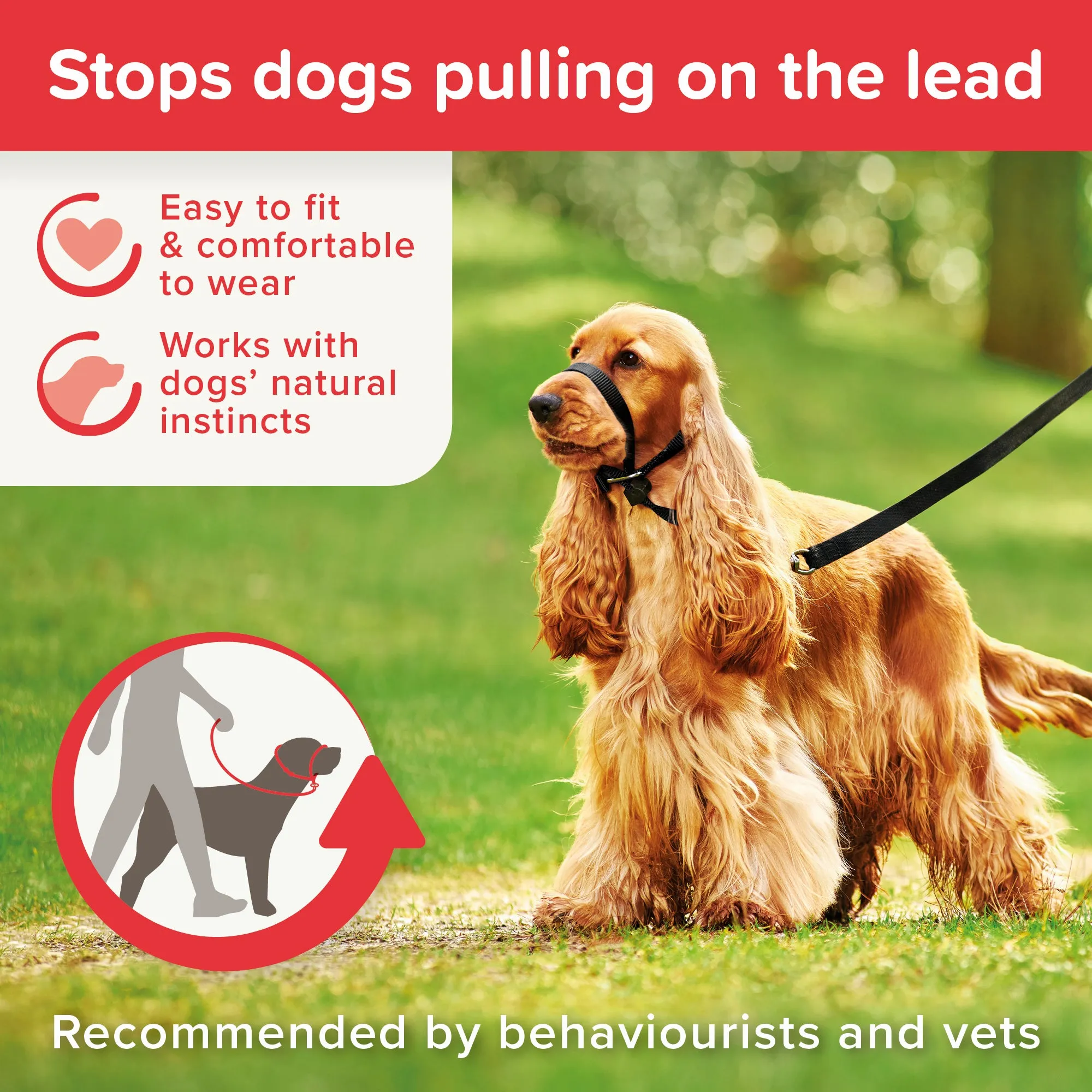 Beaphar Gentle Leader® Head Collar To Stop Pulling