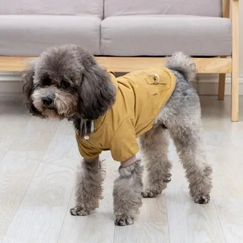 Cozy Winter Coat Harness