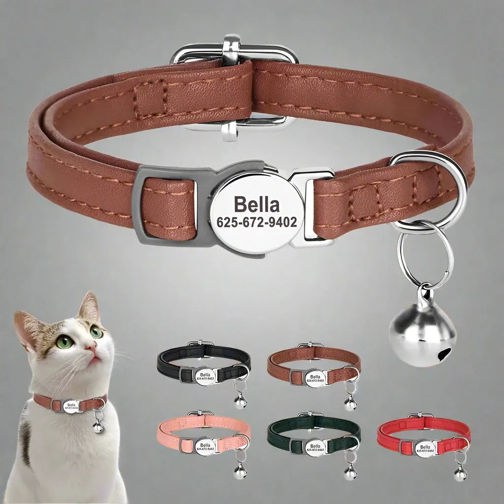 Custom Cat Collar