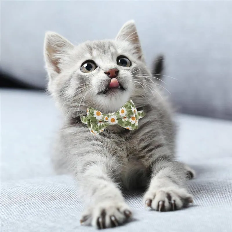 Cute Cat Collars Floral Removable Bowtie Collar with Bell