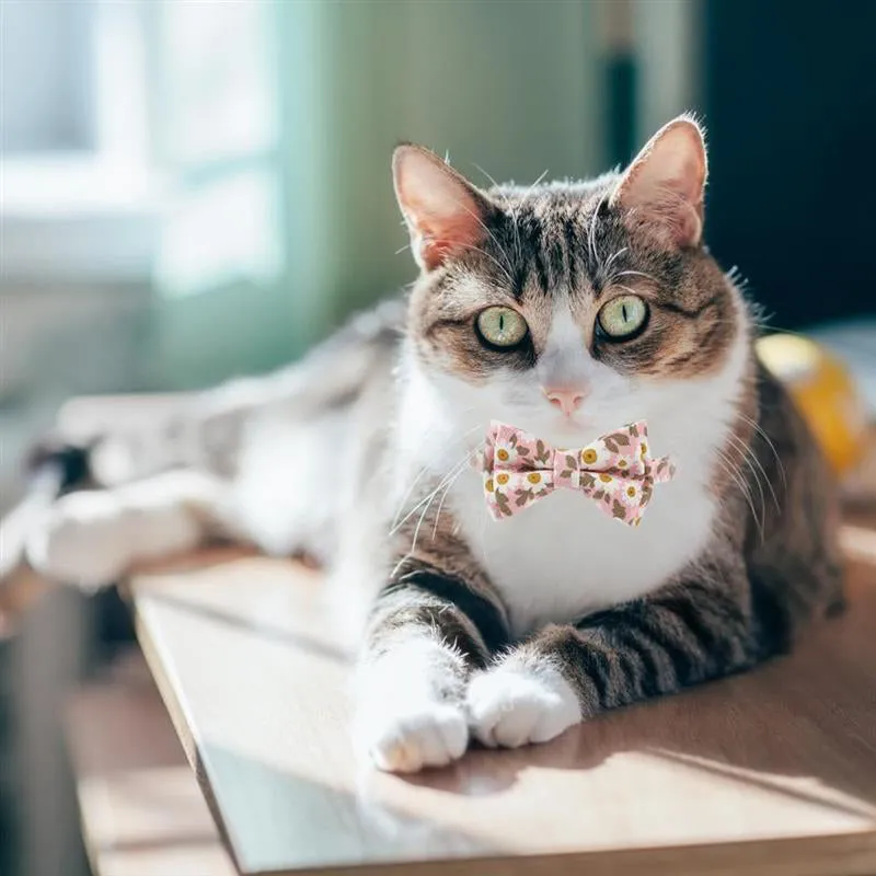 Cute Cat Collars Floral Removable Bowtie Collar with Bell