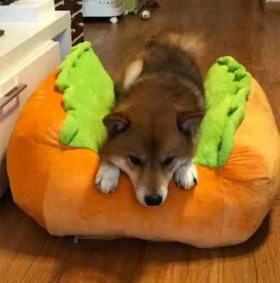 Dealzninja™ Hot Dog Bed