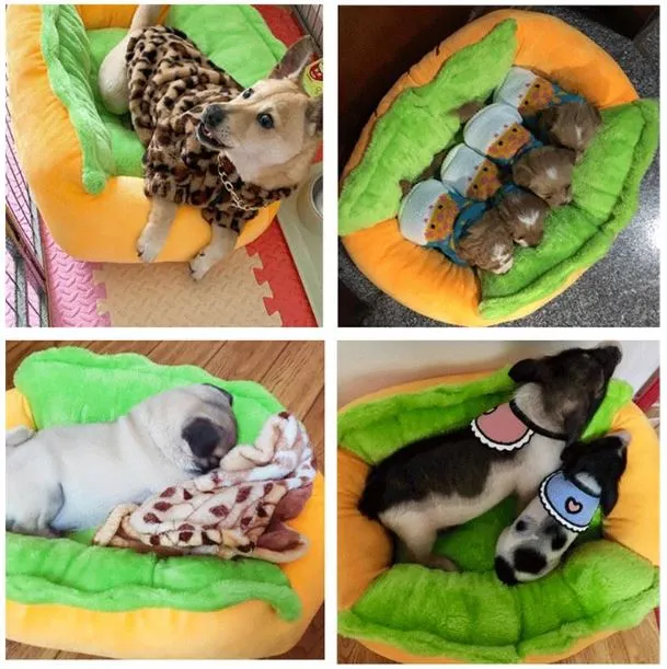 Dealzninja™ Hot Dog Bed