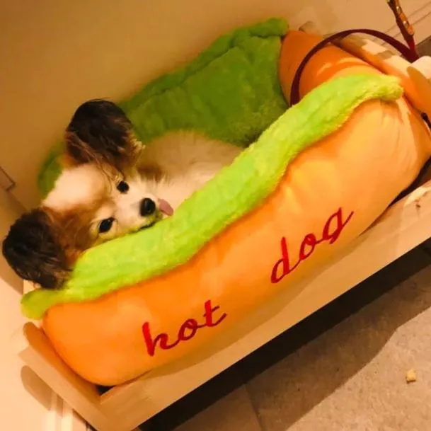 Dealzninja™ Hot Dog Bed