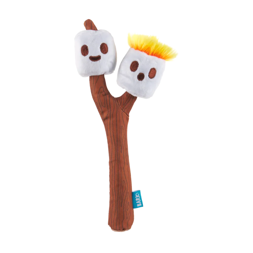 Gooey & Chewy: The Twig Twins