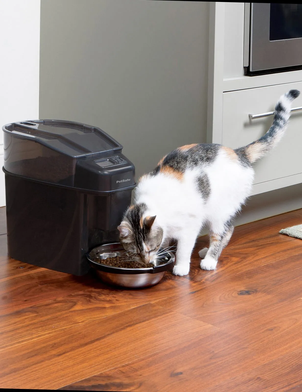 Healthy Pet Simply Feed Automatic Pet Feeder