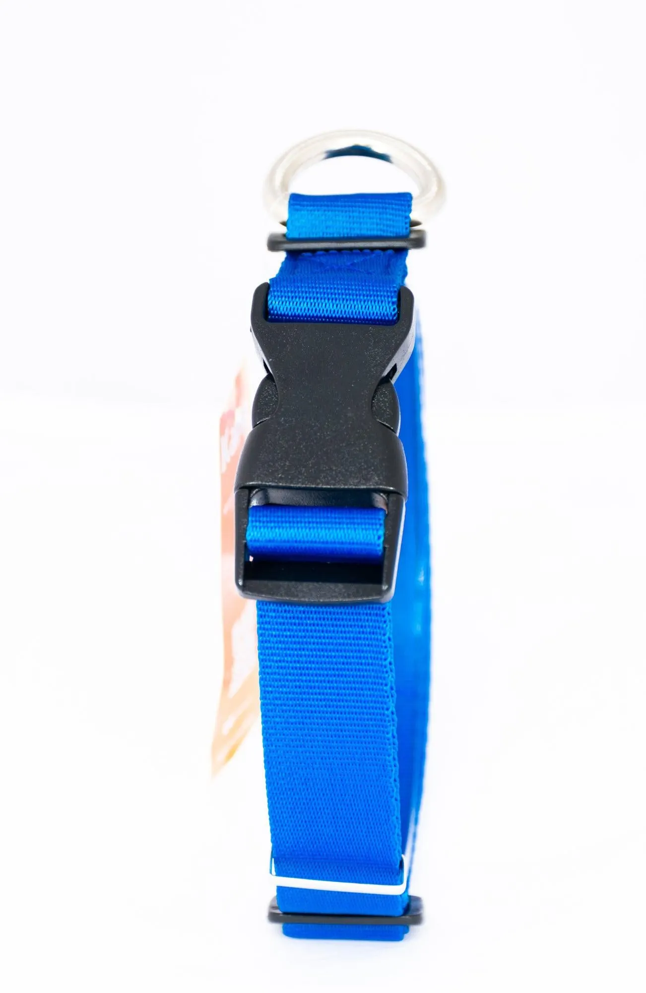 Kanu Pet Blue Dog  Collar