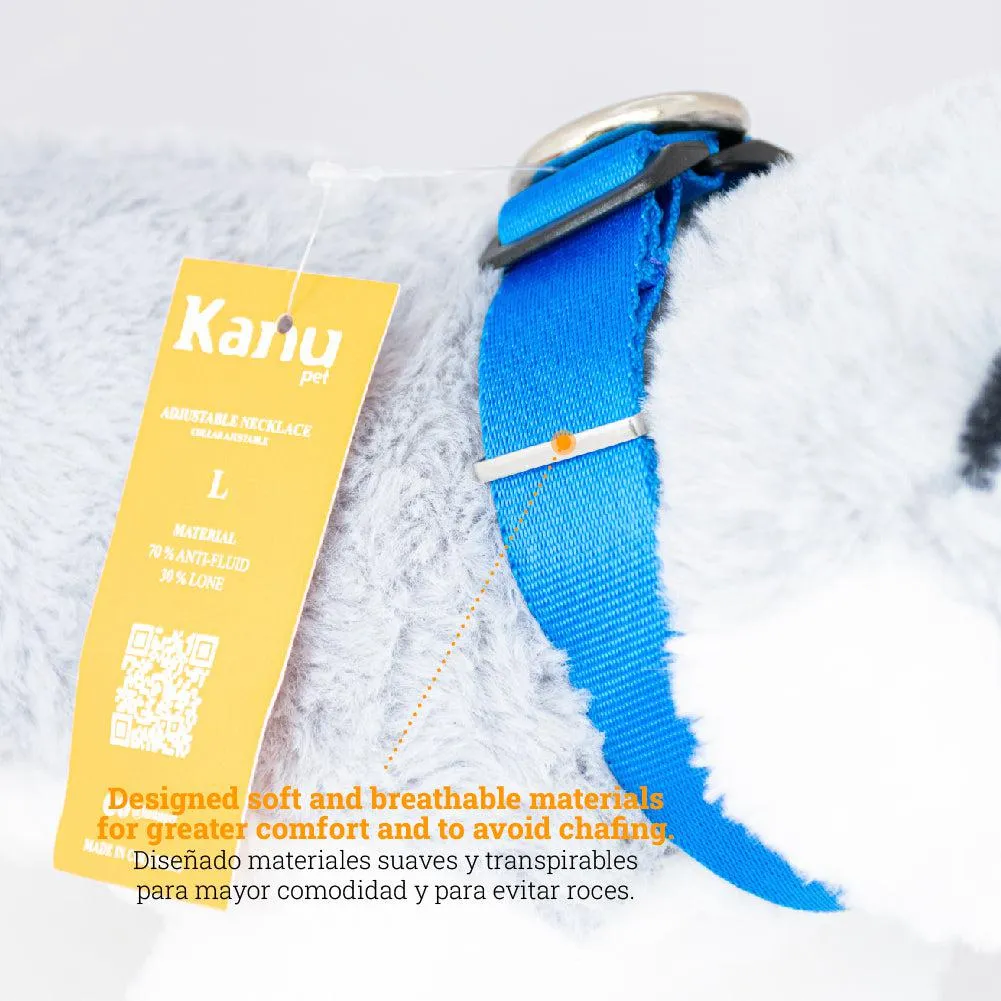 Kanu Pet Blue Dog  Collar