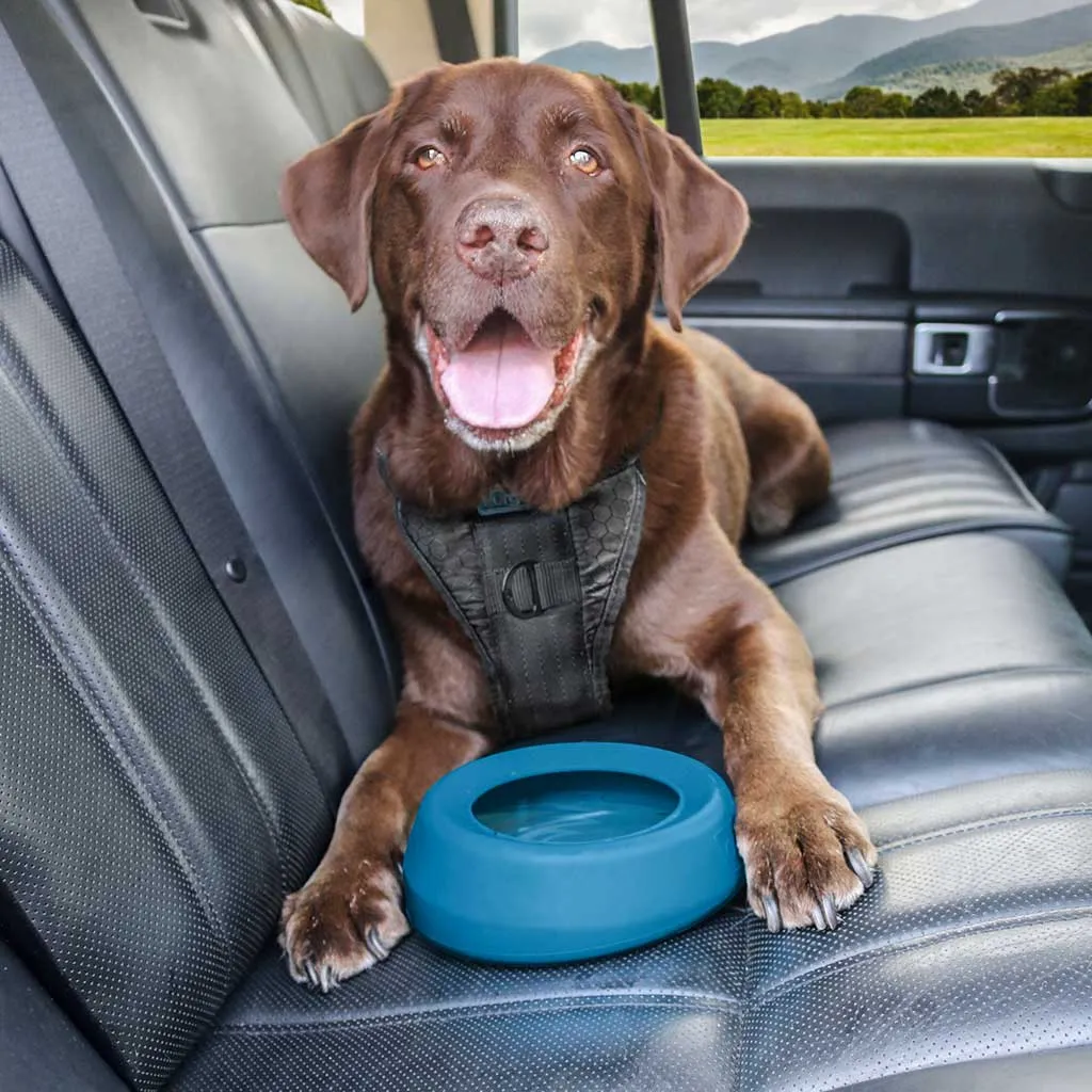 Kurgo Splash Free Wander Water Bowl