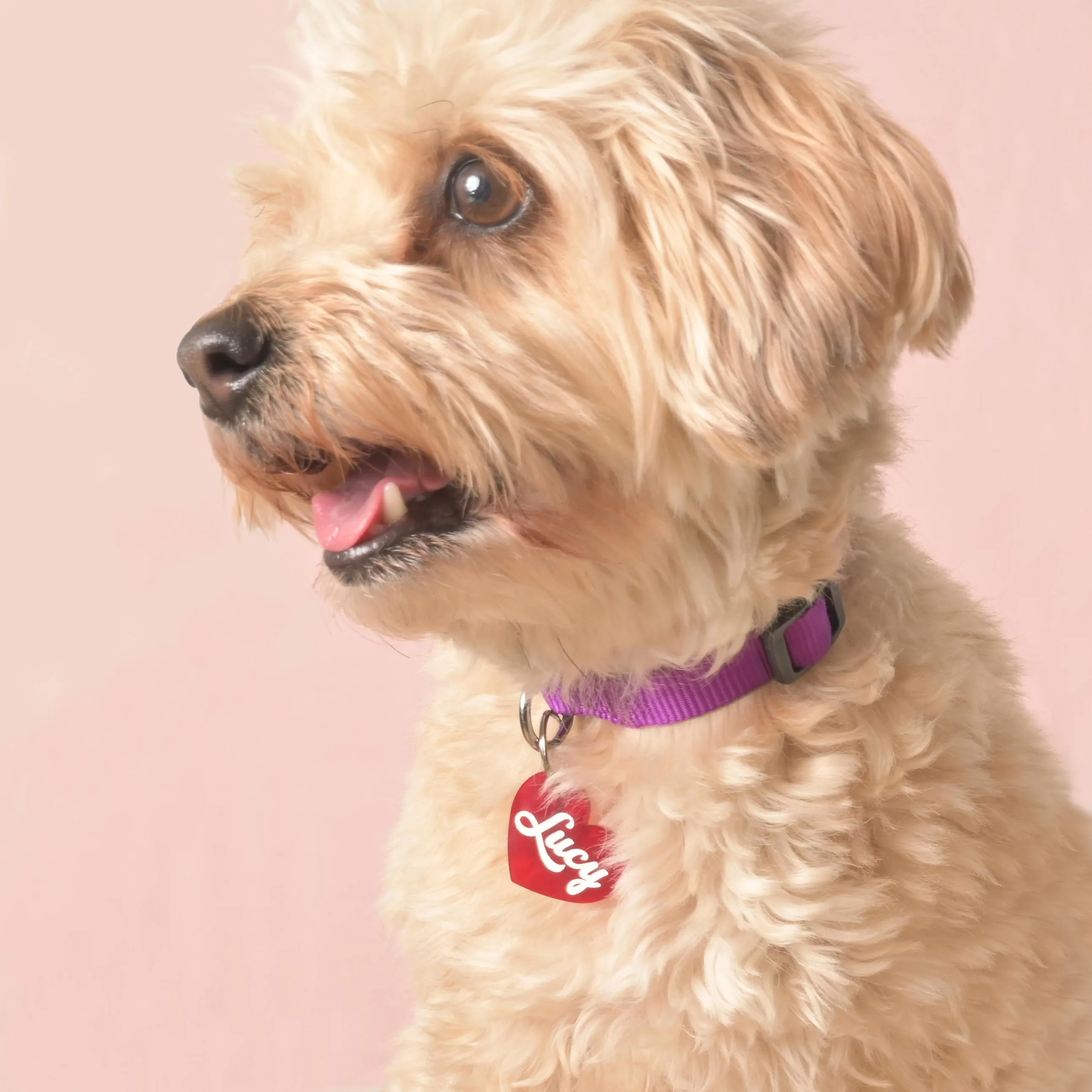 Lucy Heart Personalized Pet Tag