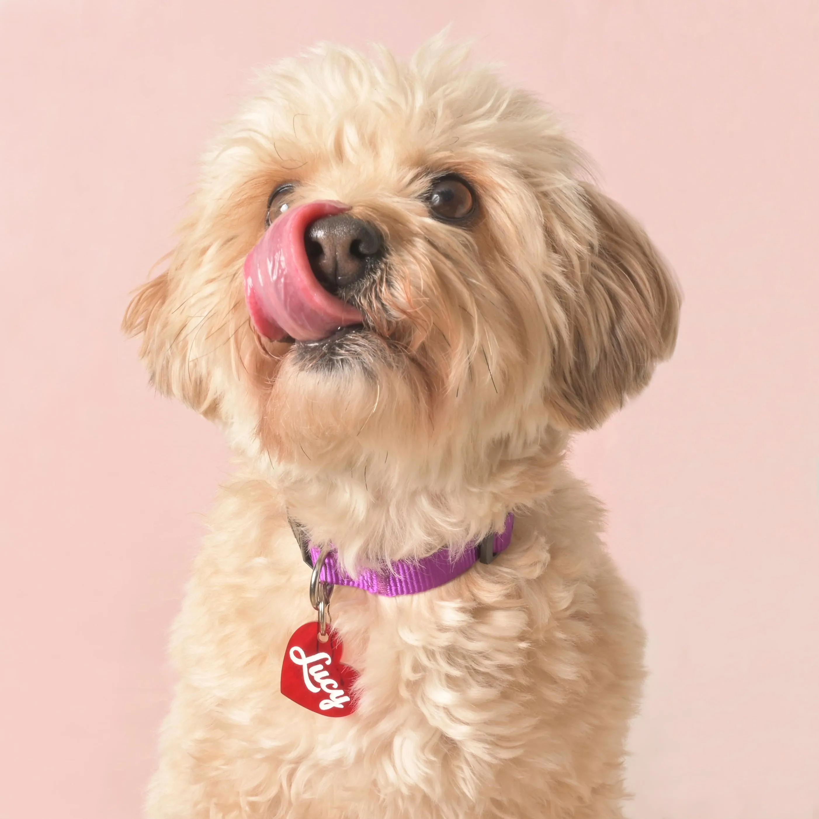 Lucy Heart Personalized Pet Tag