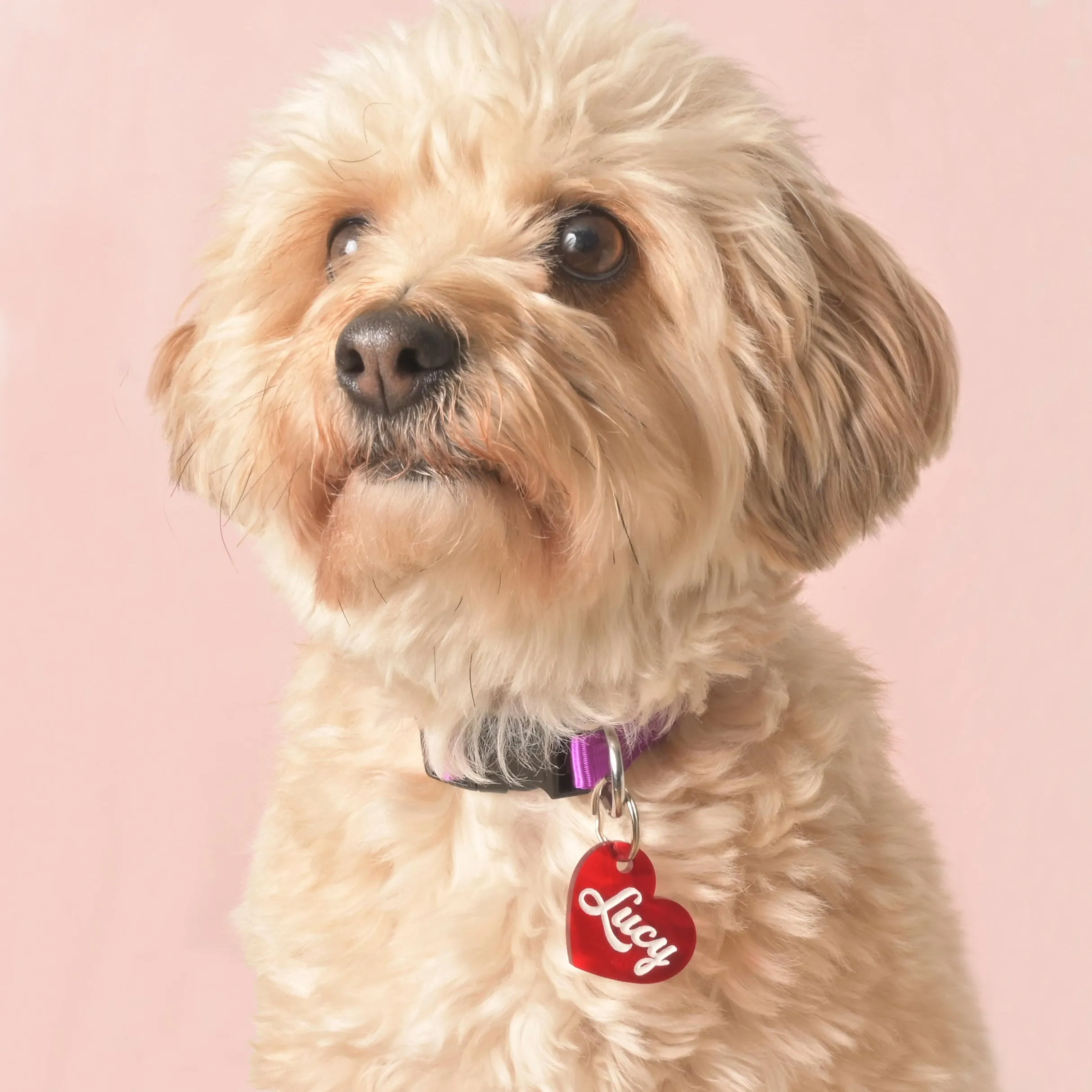 Lucy Heart Personalized Pet Tag