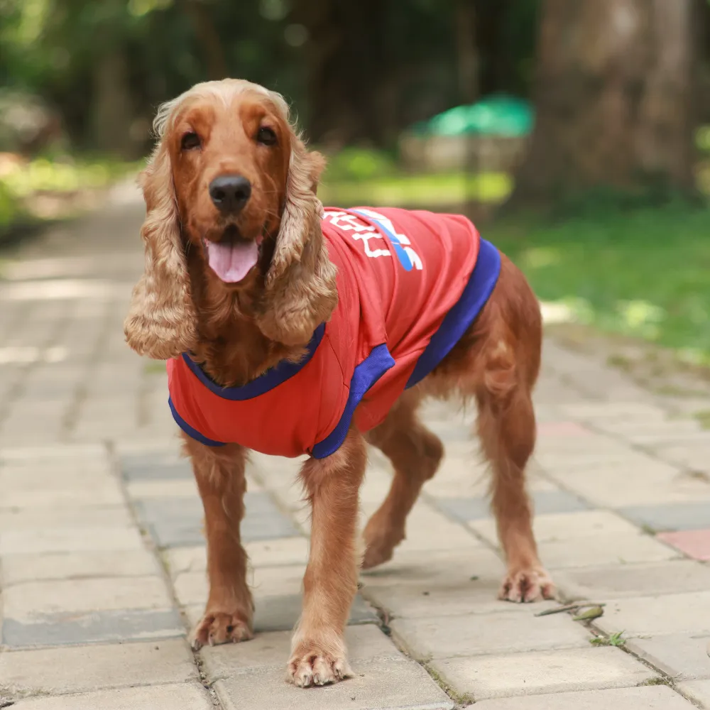 Naps & Snacks Dog T-shirt