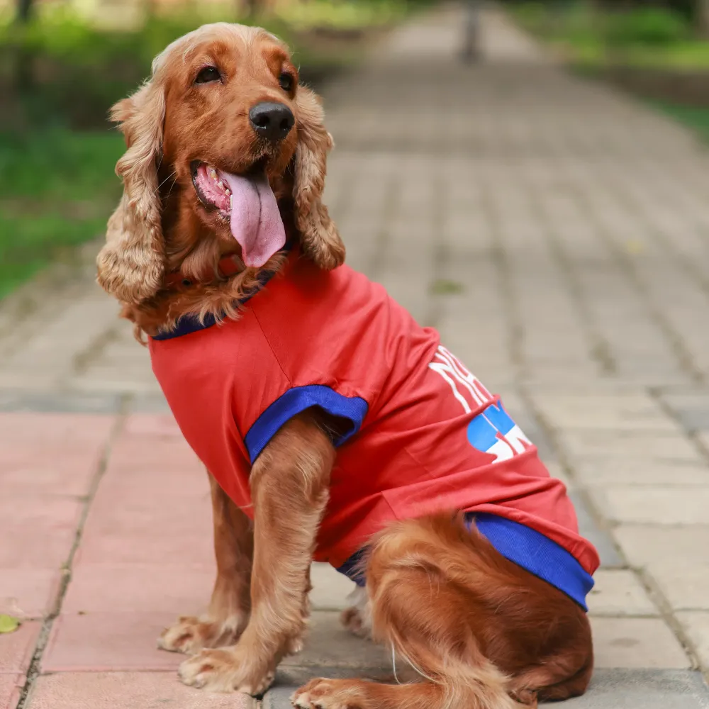 Naps & Snacks Dog T-shirt