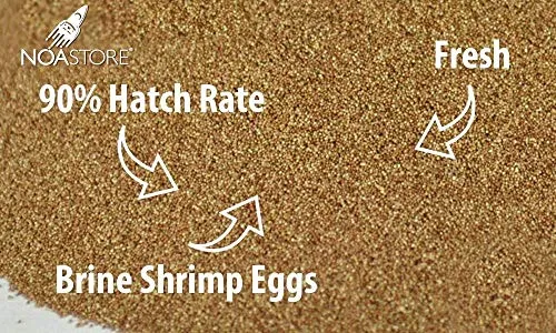 Noa Store Brine Shrimp Eggs Artemia Cysts 90 Percent Hatch Rate Fish Food (100 Gramm