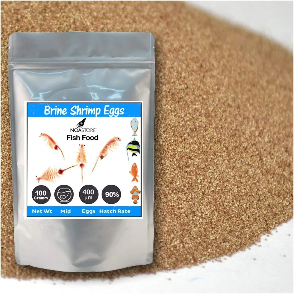 Noa Store Brine Shrimp Eggs Artemia Cysts 90 Percent Hatch Rate Fish Food (100 Gramm