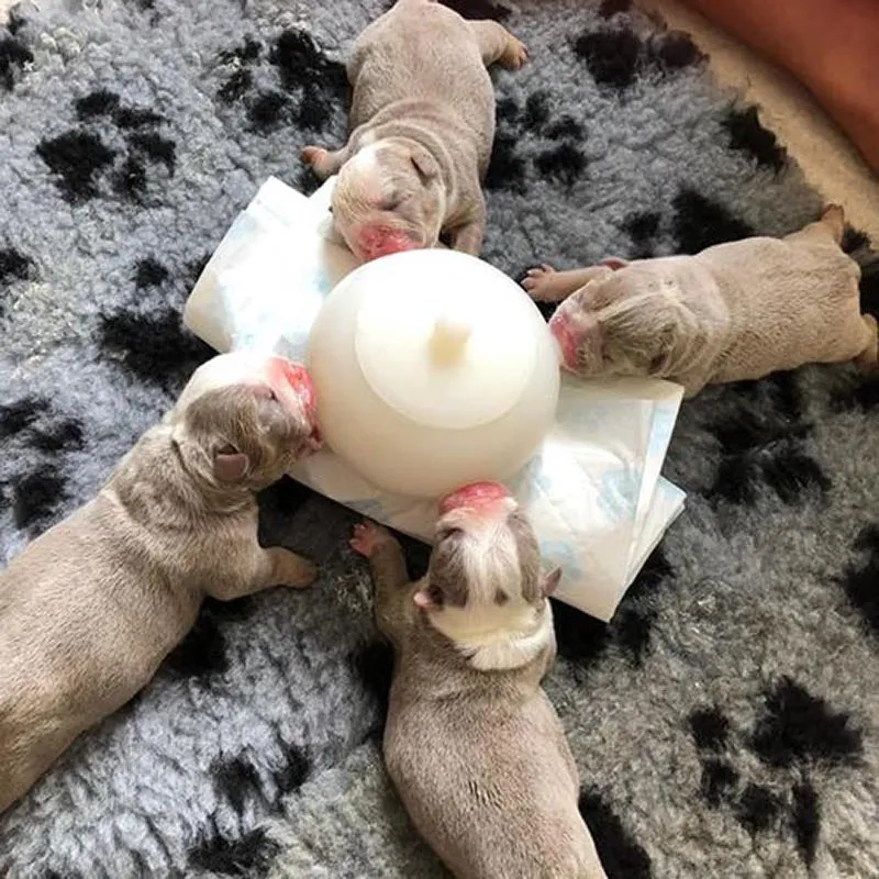 Nursing Milk Bowl