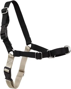 PetSafe Easy Walk Black & Silver Dog Harness