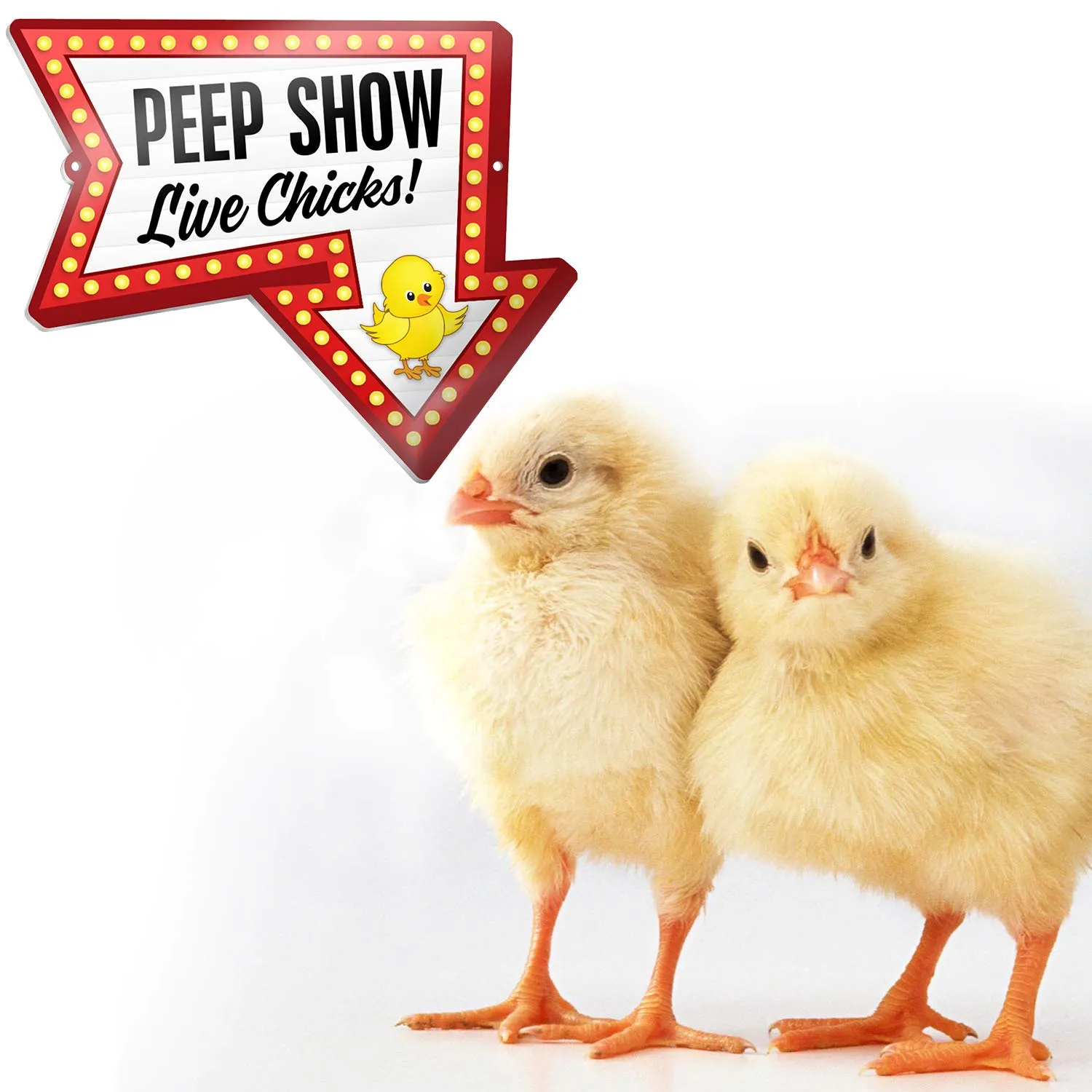 Signs Pvc Chicken Coop Sign - Peep Show Live Chicks - Hen House & Rooster Shelter Plaque