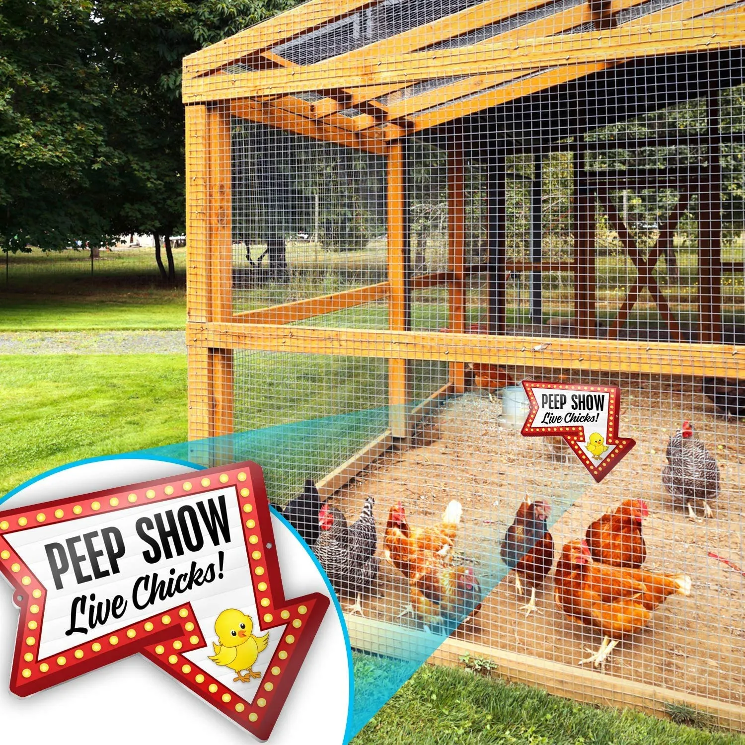 Signs Pvc Chicken Coop Sign - Peep Show Live Chicks - Hen House & Rooster Shelter Plaque