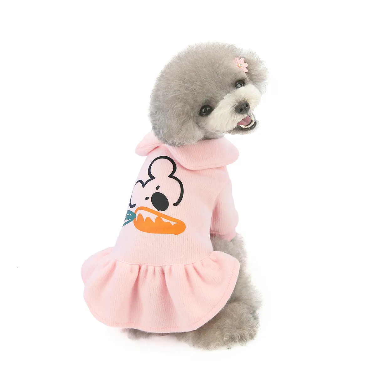 Small dog autumn and winter cute cotton skirt pet clothing