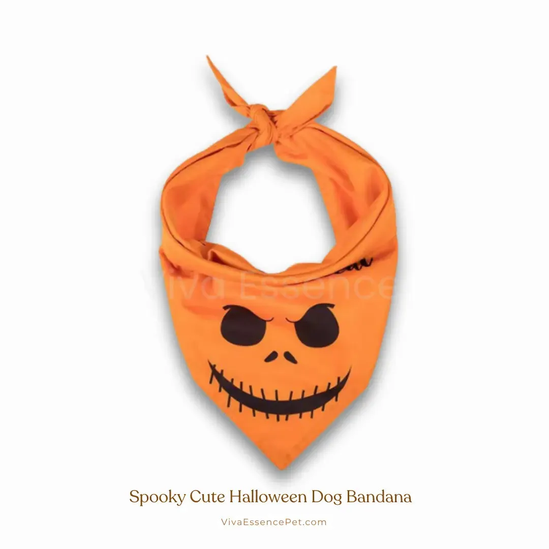 Spooky Cute Halloween Dog Bandana - Soft & Washable