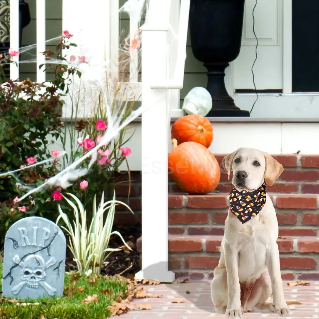 Spooky Cute Halloween Dog Bandana - Soft & Washable