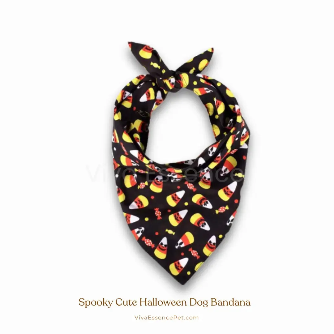 Spooky Cute Halloween Dog Bandana - Soft & Washable