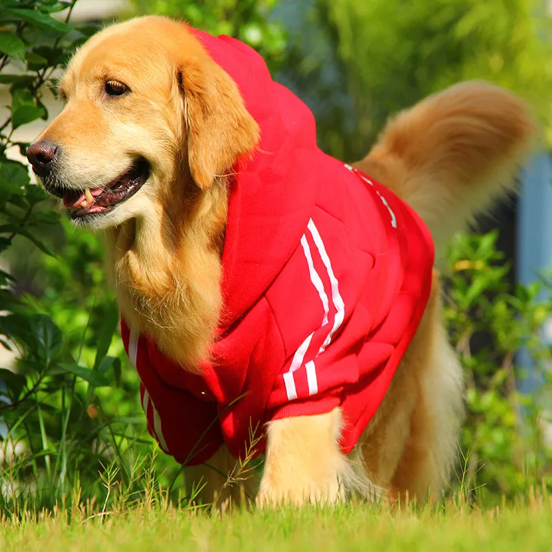 Sporty Cotton-Padded Pet Clothes: Stylish Apparel for Active Pets