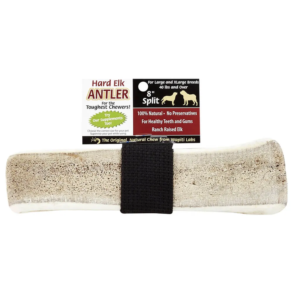 Wapiti Labs Elk Antler Dog Chews, 8", Split