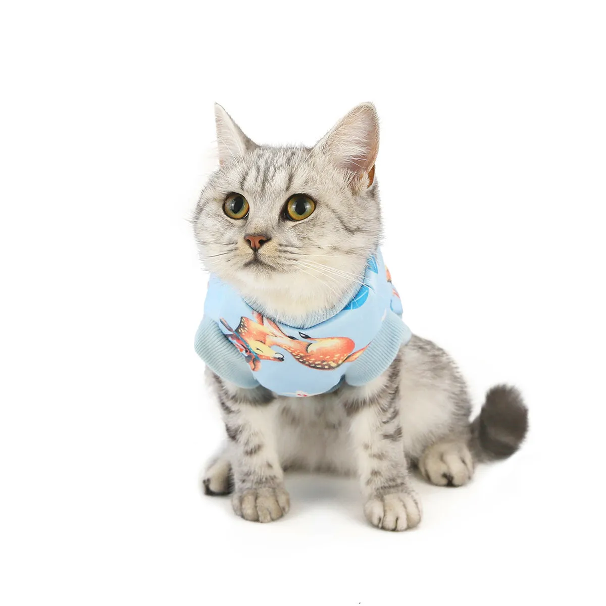 Warm autumn and winter pet cat clothes pet clothes