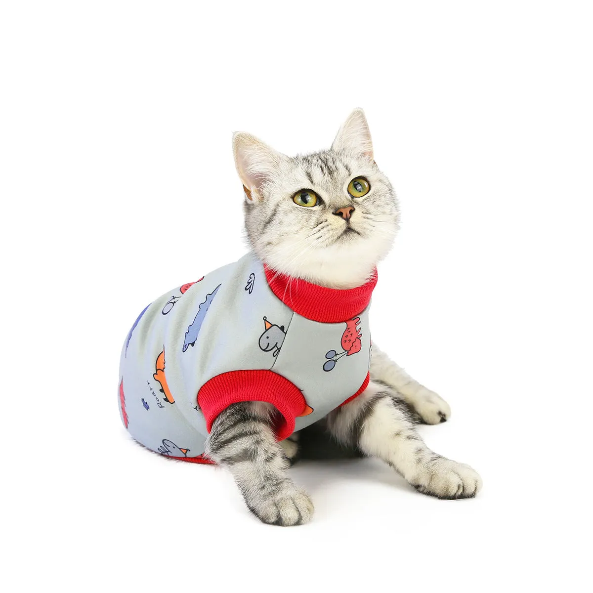 Warm autumn and winter pet cat clothes pet clothes