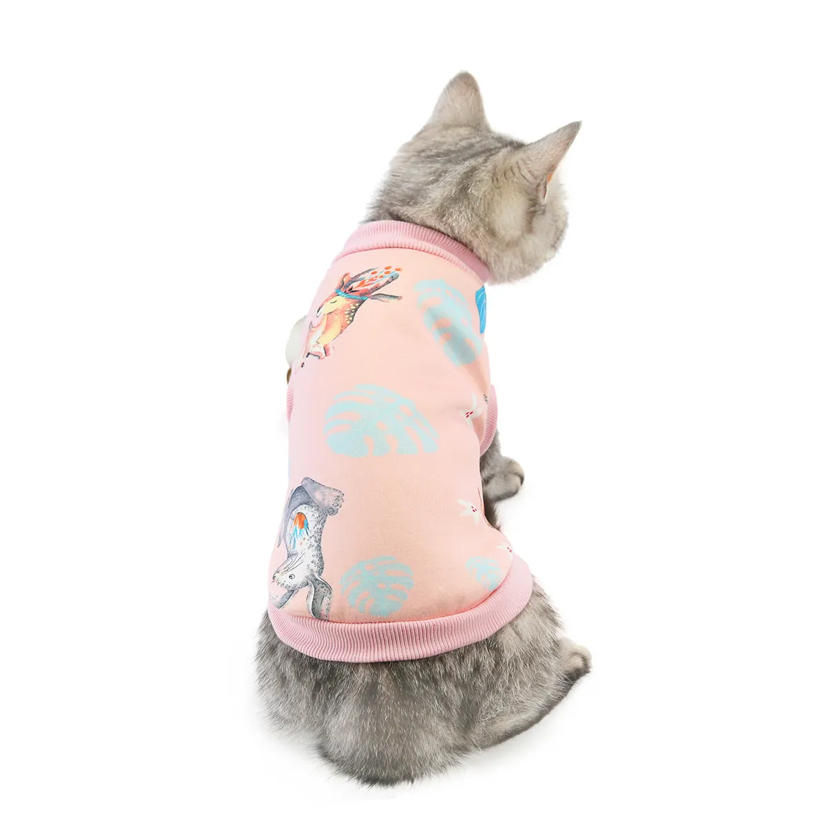 Warm autumn and winter pet cat clothes pet clothes