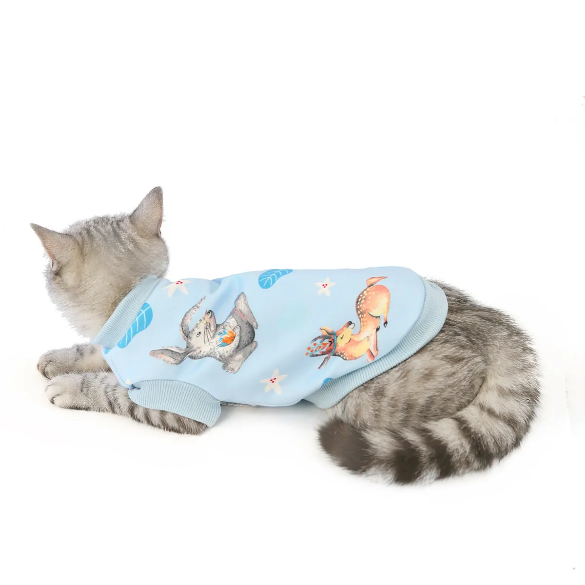 Warm autumn and winter pet cat clothes pet clothes