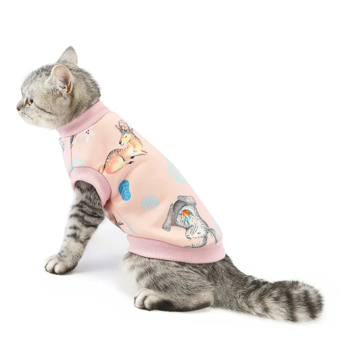 Warm autumn and winter pet cat clothes pet clothes